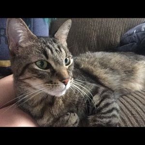 Meet your Posher, Marilyn